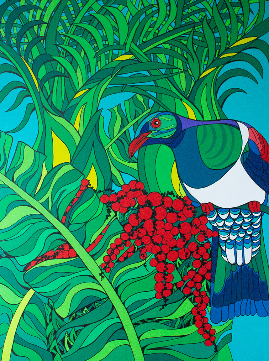 Kereru from my window