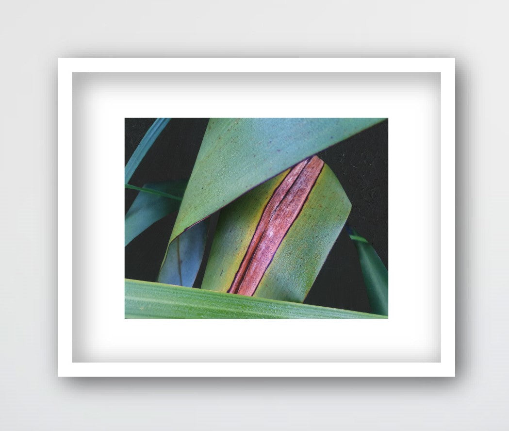 YELLOW LIFE, NZ FLAX